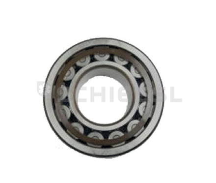 Εικόνα για Cylindrical roller bearing 38620034
