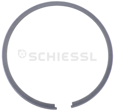 Εικόνα για Retaining ring with lugs 32591001