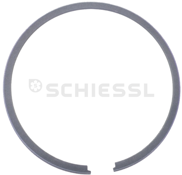 Εικόνα για Retaining ring with lugs 32591001